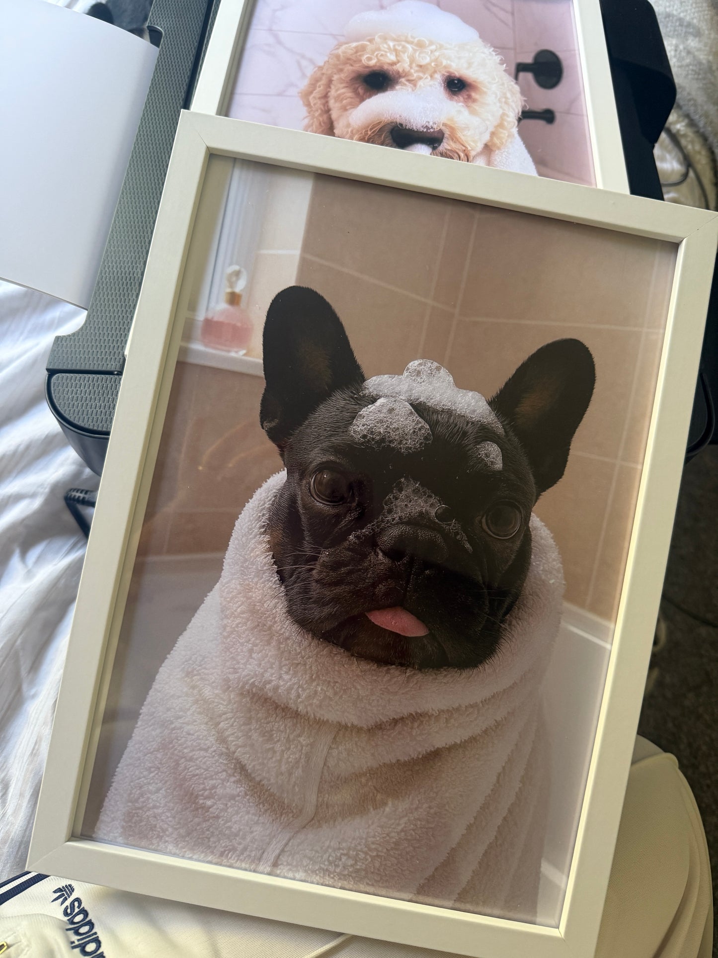 Personalised clean dog